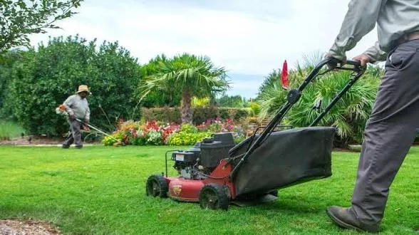 Professional yard cleanup service in Lewisville, TX - Vences Lawn Services