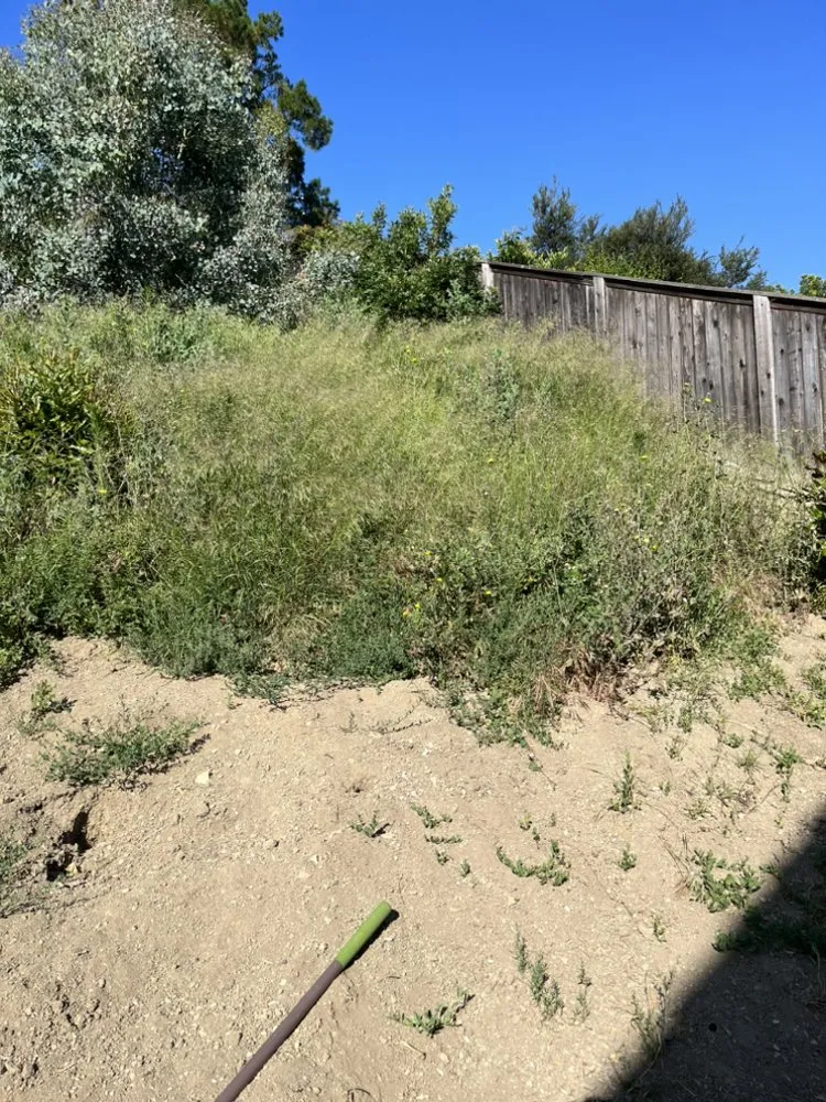 Reliable lawn mowing service experts serving Corona, CA - Venegas Landscaping & Tree Service