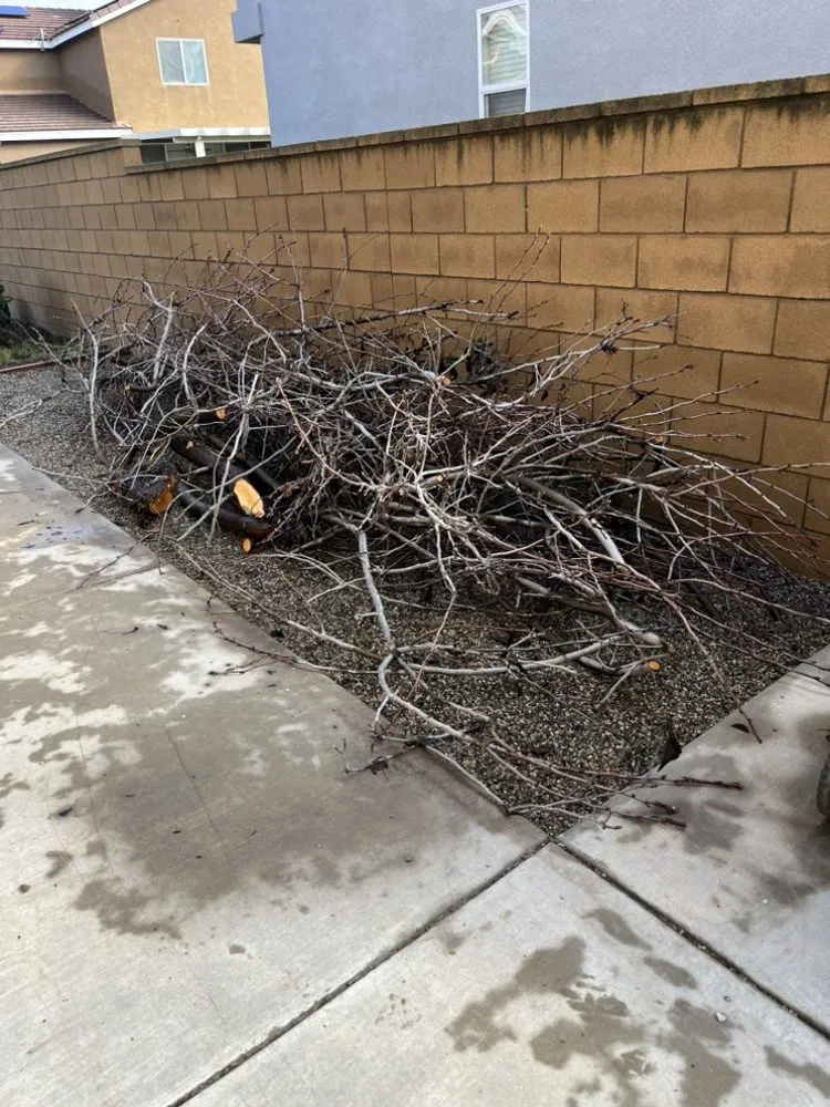 Affordable residential landscaping in Corona, CA by Venegas Landscaping & Tree Service