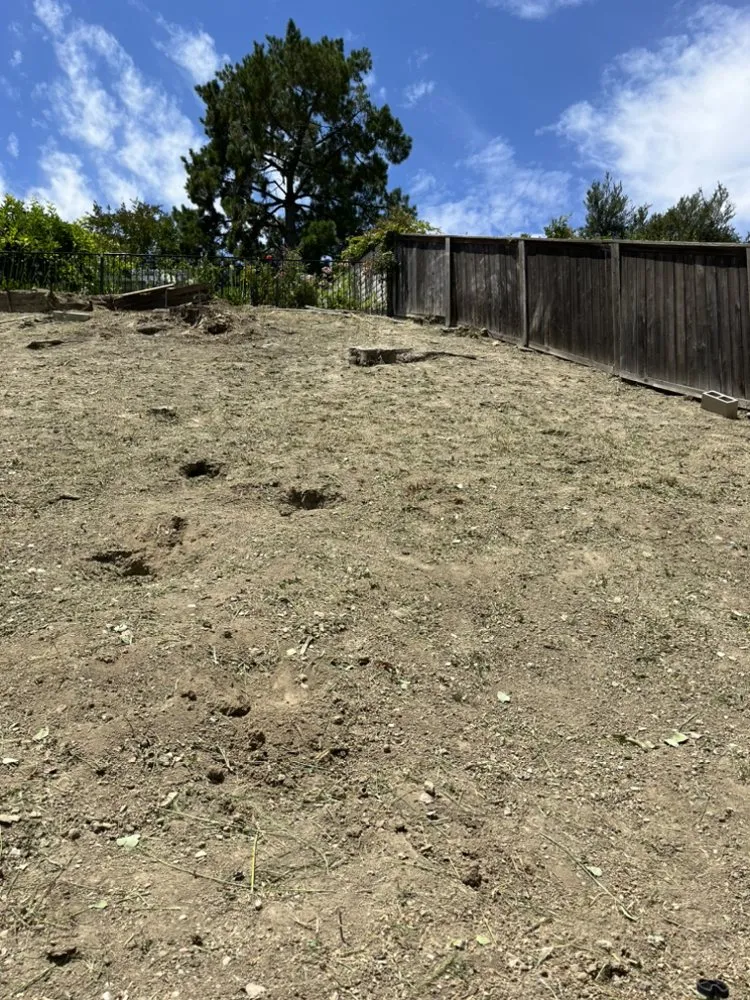 Trusted garden landscaping in Corona, CA - Venegas Landscaping & Tree Service