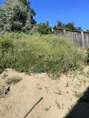 Venegas Landscaping & Tree Service Logo