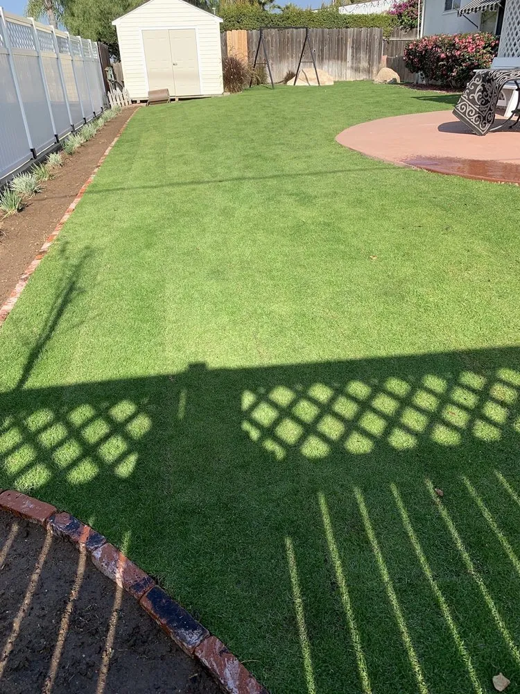 Trusted lawn care service experts serving Vista, CA - Venegas Landscaping and Aerator Service