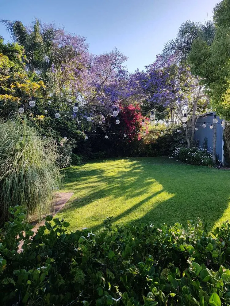Expert lawn care service in Vista, CA by Venegas Landscaping and Aerator Service