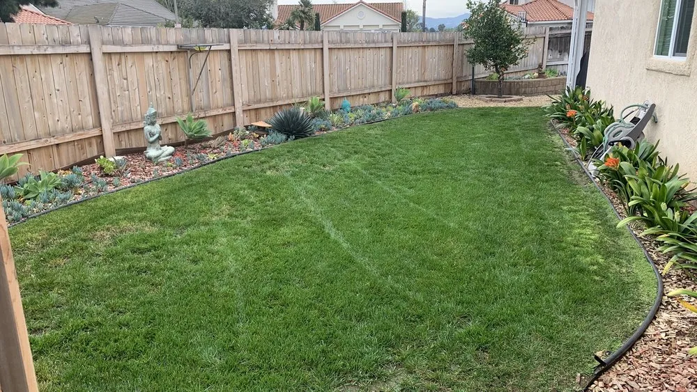 Trusted yard maintenance for outdoor upgrades in Vista, CA by Venegas Landscaping and Aerator Service