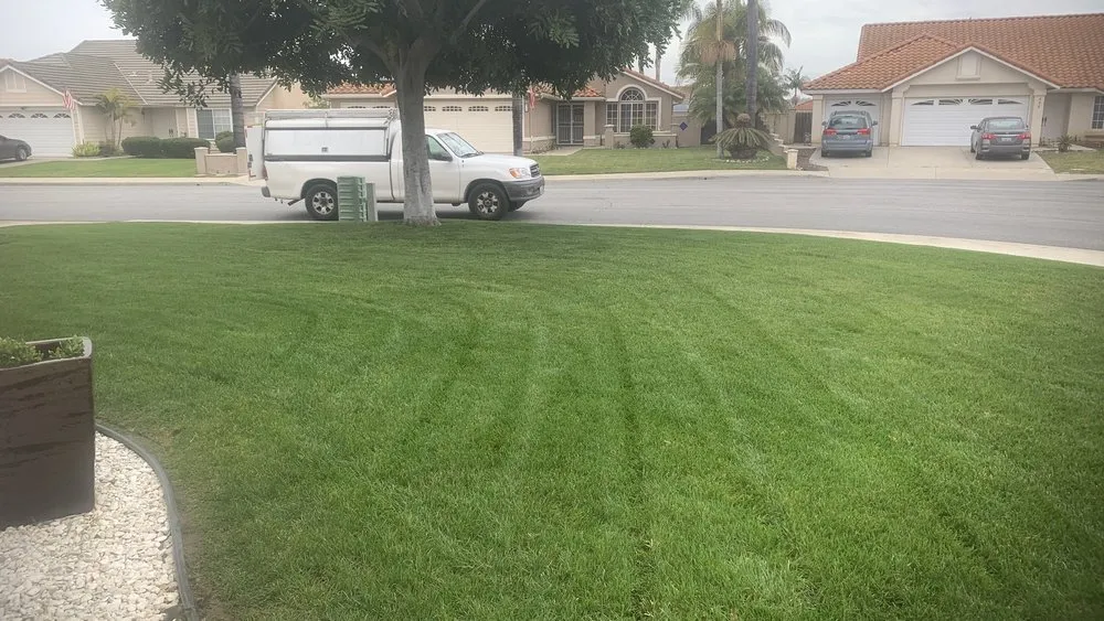 Affordable yard maintenance in Vista, CA - Venegas Landscaping and Aerator Service