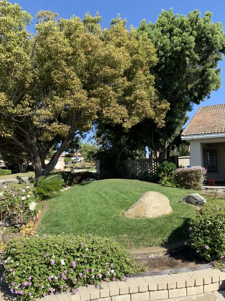 Top-rated landscape installation for outdoor upgrades in Vista, CA by Venegas Landscaping and Aerator Service