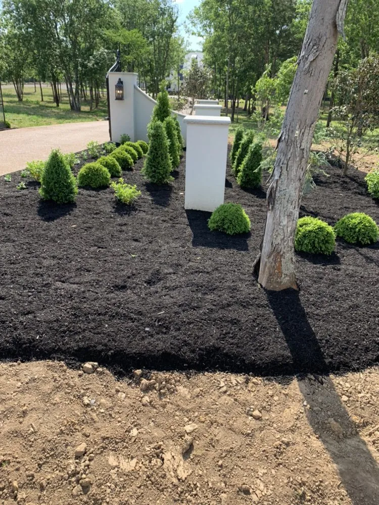 Top-rated landscape design near you in Shelbyville, TN by Venegas Landscaping And Grading