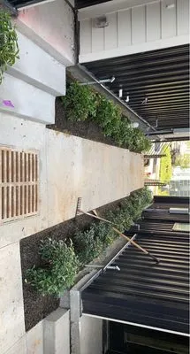 Venegas Landscaping And Grading