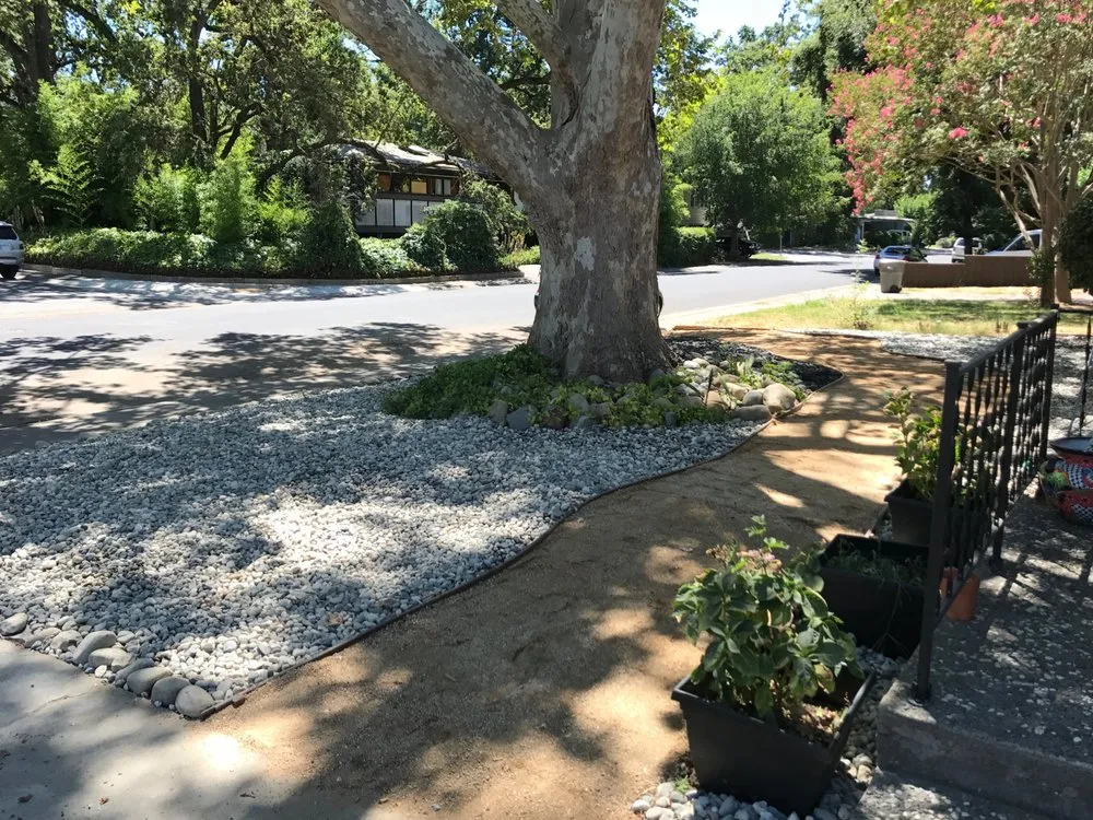 Custom yard cleanup service in Sacramento, CA - Venegas Landscaping