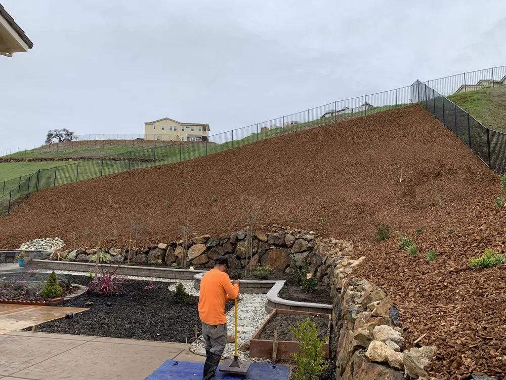 Professional lawn mowing service for year-round maintenance in Sacramento, CA by Venegas Landscaping