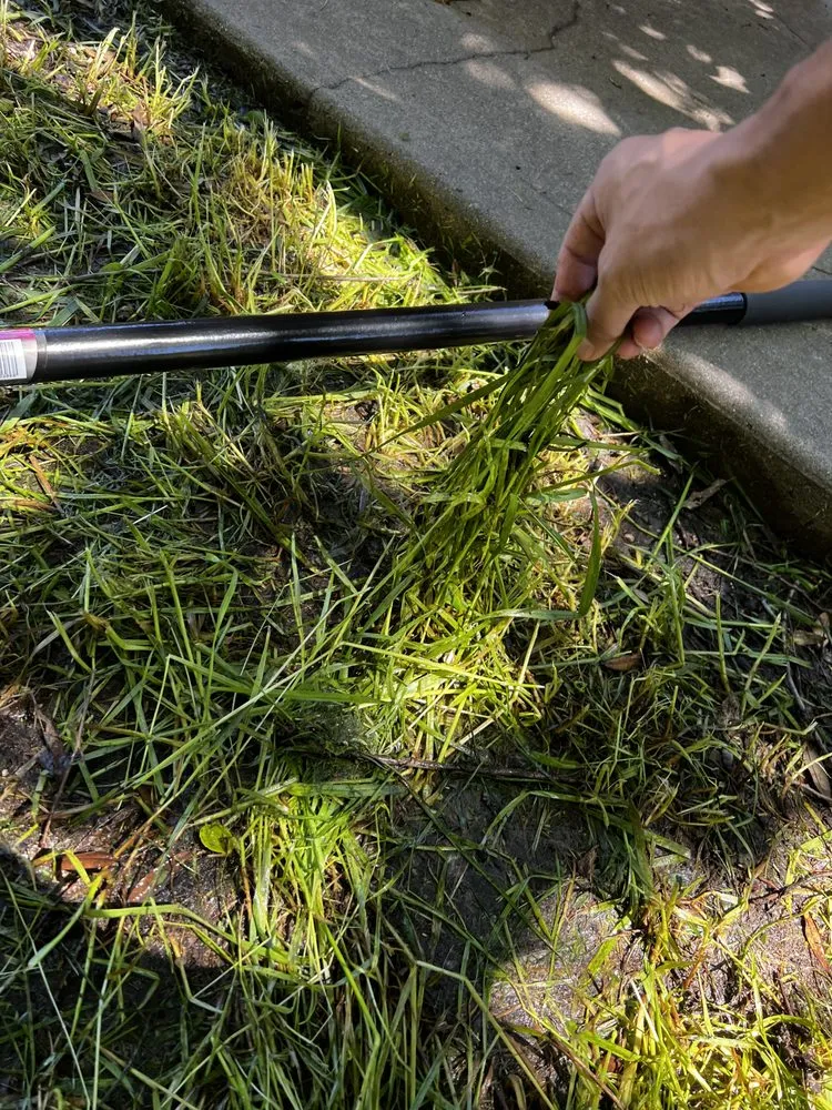 Professional landscaping services for homes across Alvarado, TX - Venegas Lawn Care