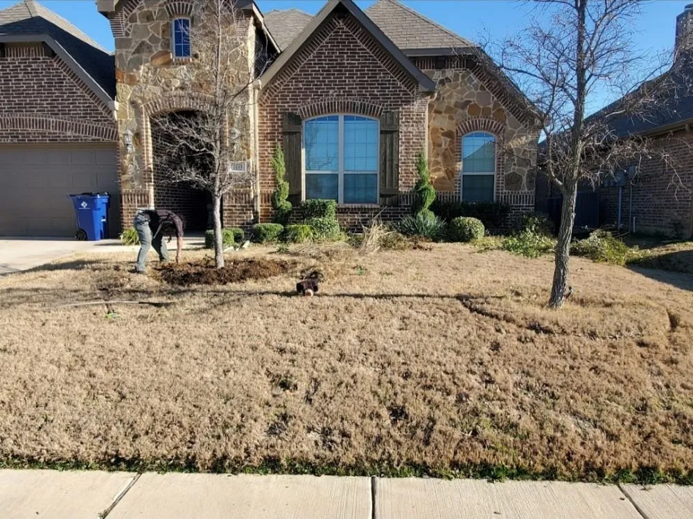 Affordable lawn care service in Alvarado, TX - Venegas Lawn Care