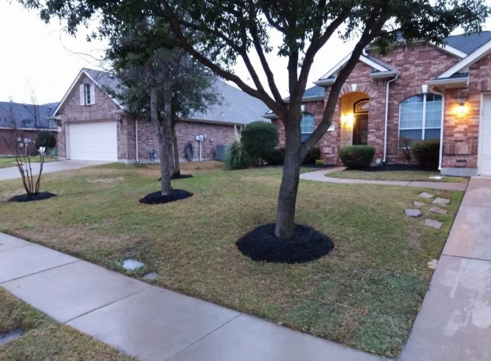 Trusted residential landscaping near you in Alvarado, TX by Venegas Lawn Care