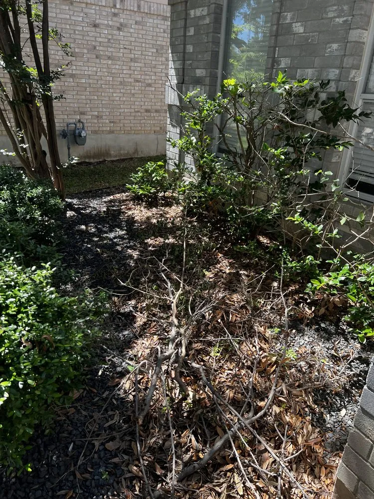 Top-rated landscape installation experts serving Alvarado, TX - Venegas Lawn Care