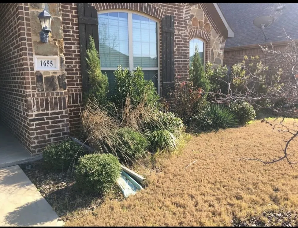 Professional landscaping services in Alvarado, TX by Venegas Lawn Care