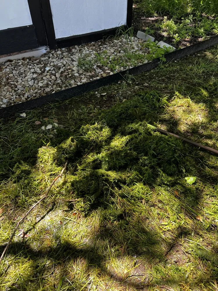 Trusted outdoor landscaping experts serving Alvarado, TX - Venegas Lawn Care