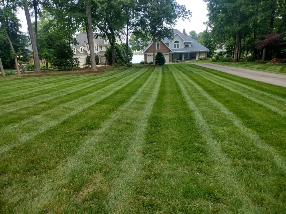 Reliable yard cleanup service for homes in Monroe, NC by Venegas Lawn Care