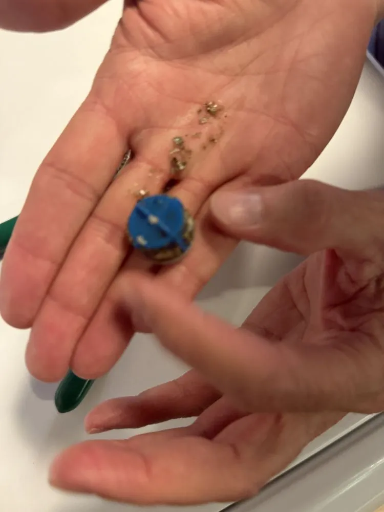 Reliable landscape installation in Manor, TX by Venegas Services