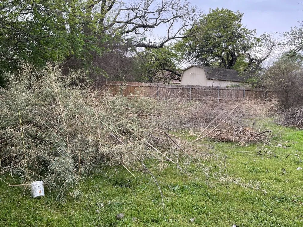 Custom yard cleanup service for outdoor upgrades in Arlington, TX by Venerables Tree Service