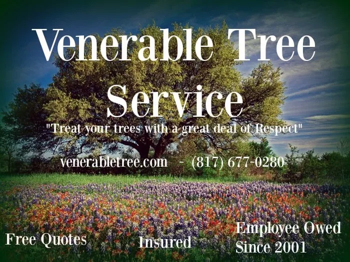 Custom garden landscaping for outdoor upgrades across Arlington, TX - Venerables Tree Service