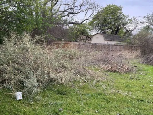 Venerables Tree Service Logo