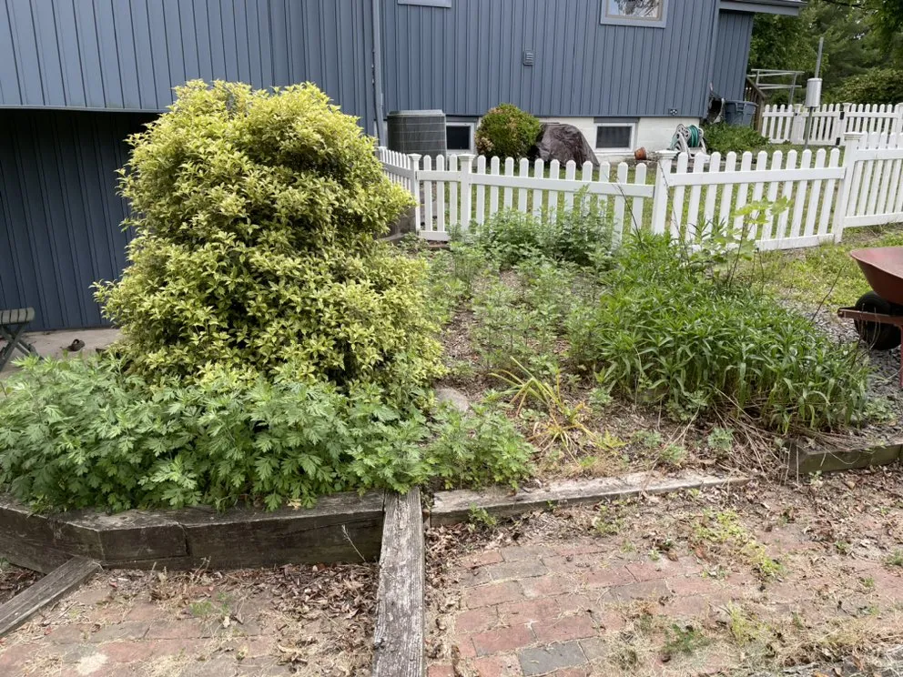 Custom outdoor landscaping experts serving Lambertville, NJ - Venettoni Bros Lawn Maintenance