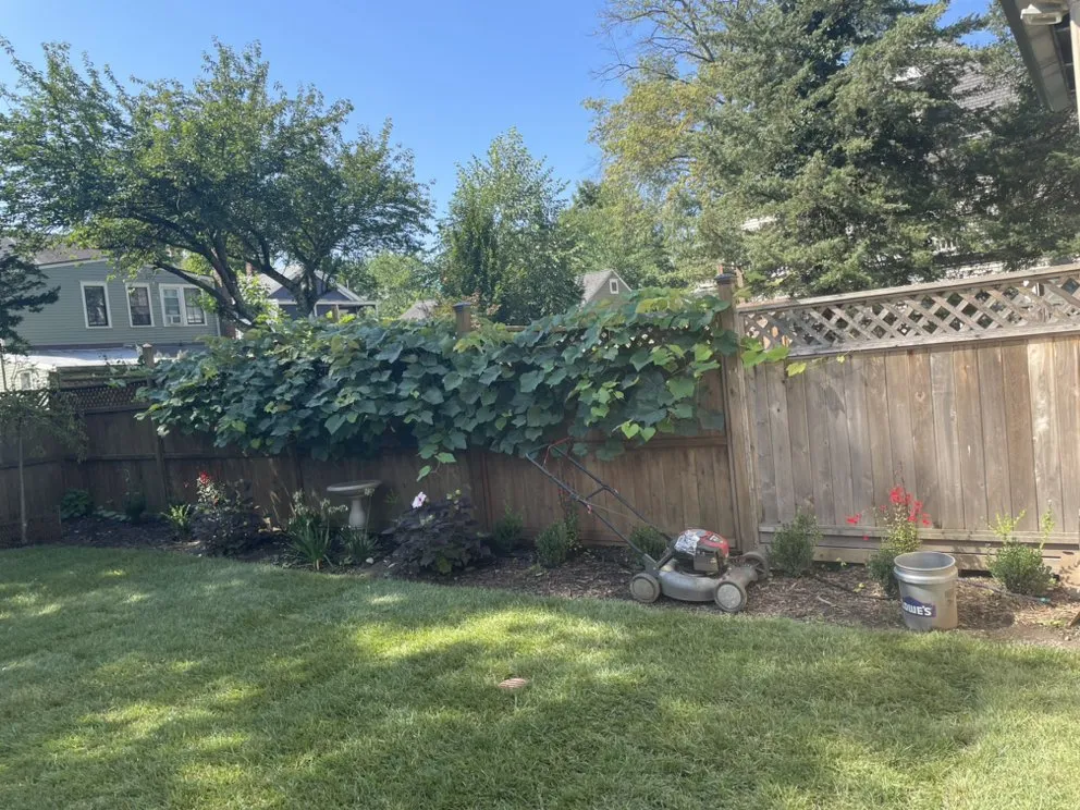 Trusted garden landscaping for residential properties across Lambertville, NJ - Venettoni Bros Lawn Maintenance