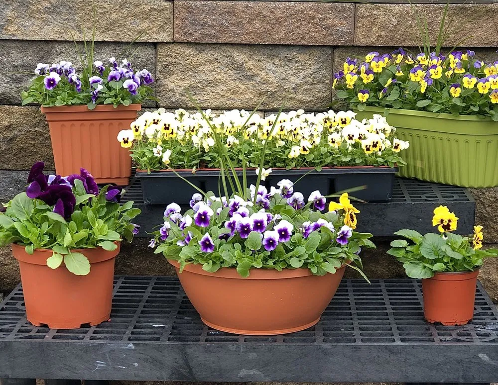 Reliable garden landscaping with custom design across Mineola, NY - Venezia Garden Center