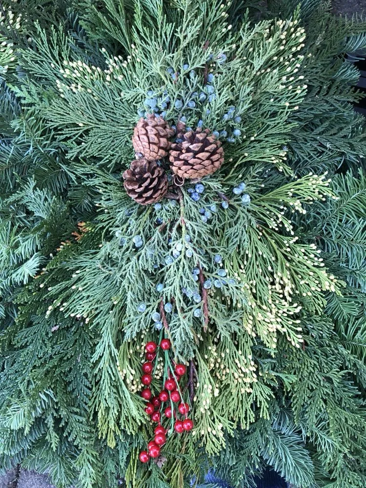 Expert landscape design experts serving Mineola, NY - Venezia Garden Center