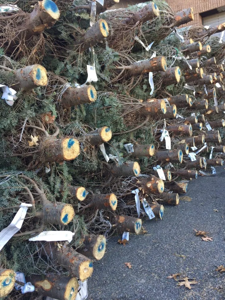 Trusted landscaping services for beautiful yards in Mineola, NY by Venezia Garden Center