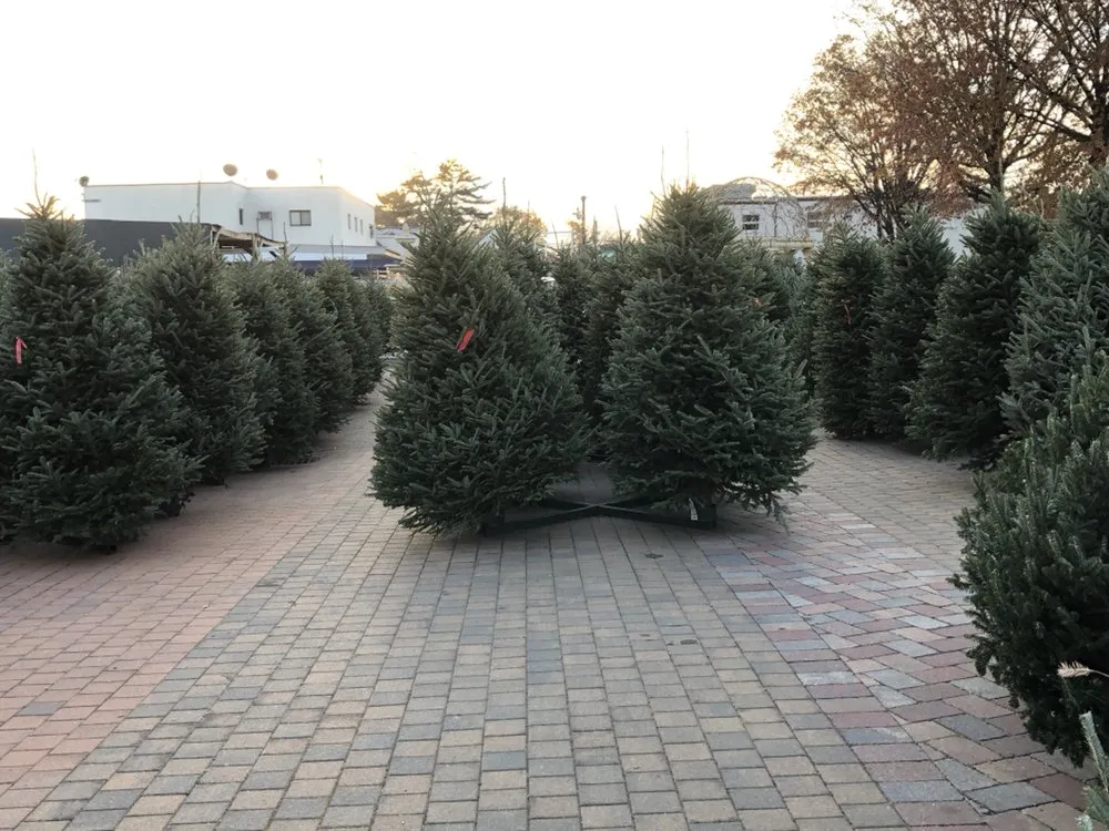 Top-rated landscape installation for year-round maintenance across Mineola, NY - Venezia Garden Center