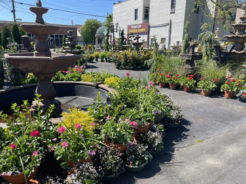 Expert residential landscaping in Mineola, NY - Venezia Garden Center
