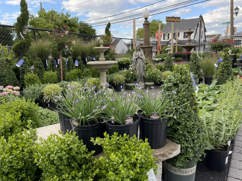 Expert lawn mowing service for outdoor upgrades in Mineola, NY by Venezia Garden Center