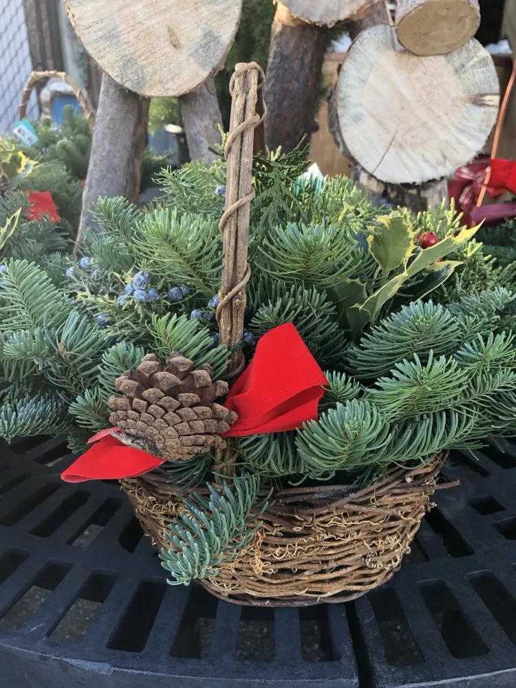 Expert yard maintenance with custom design across Mineola, NY - Venezia Garden Center