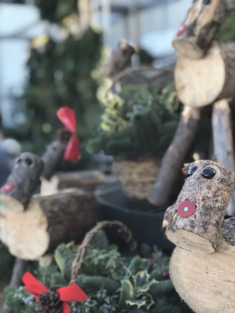 Professional yard maintenance in Mineola, NY - Venezia Garden Center