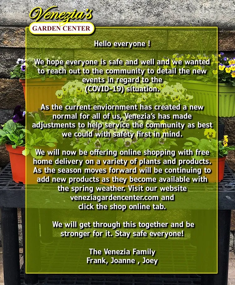 Top-rated residential landscaping experts serving Mineola, NY - Venezia Garden Center