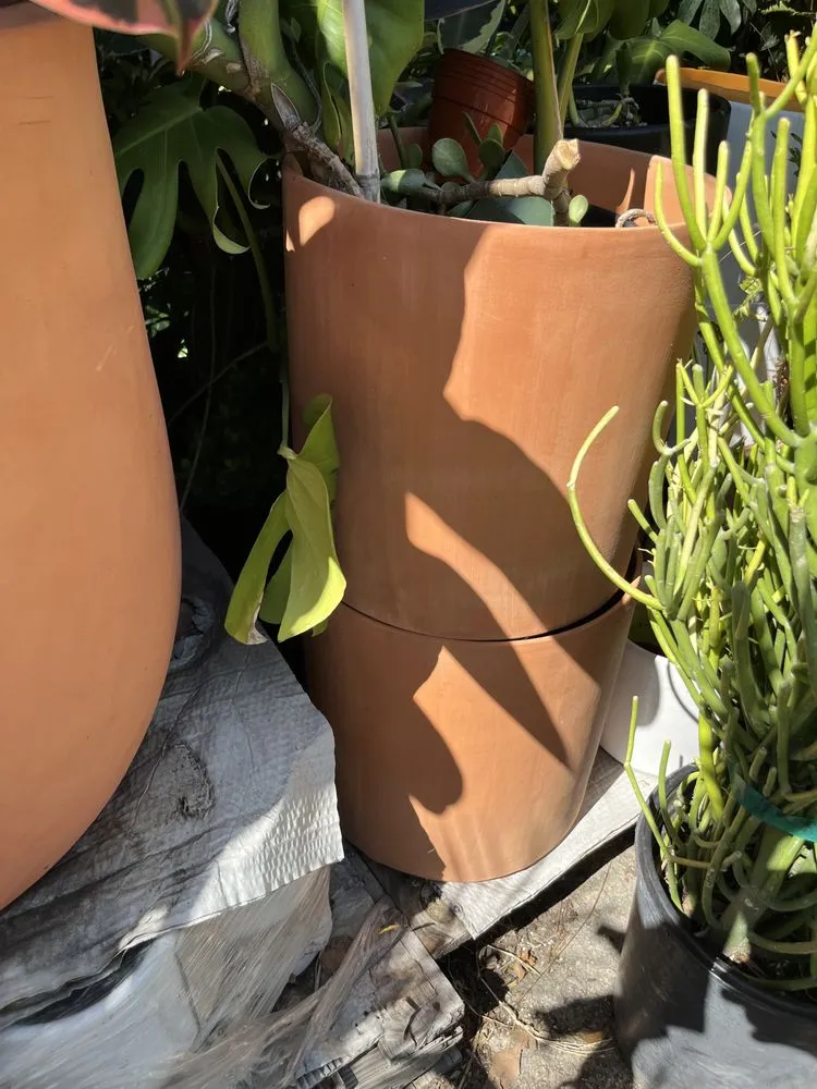 Expert landscape design for homes in Venice, CA by Venice Plants