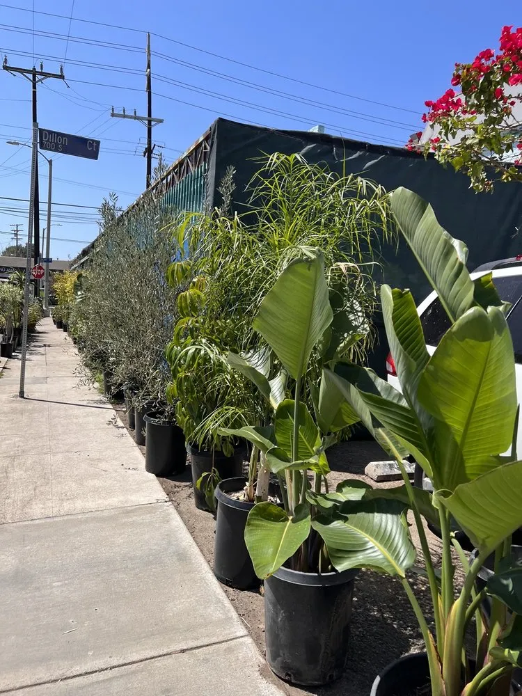 Top-rated residential landscaping for homes across Venice, CA - Venice Plants