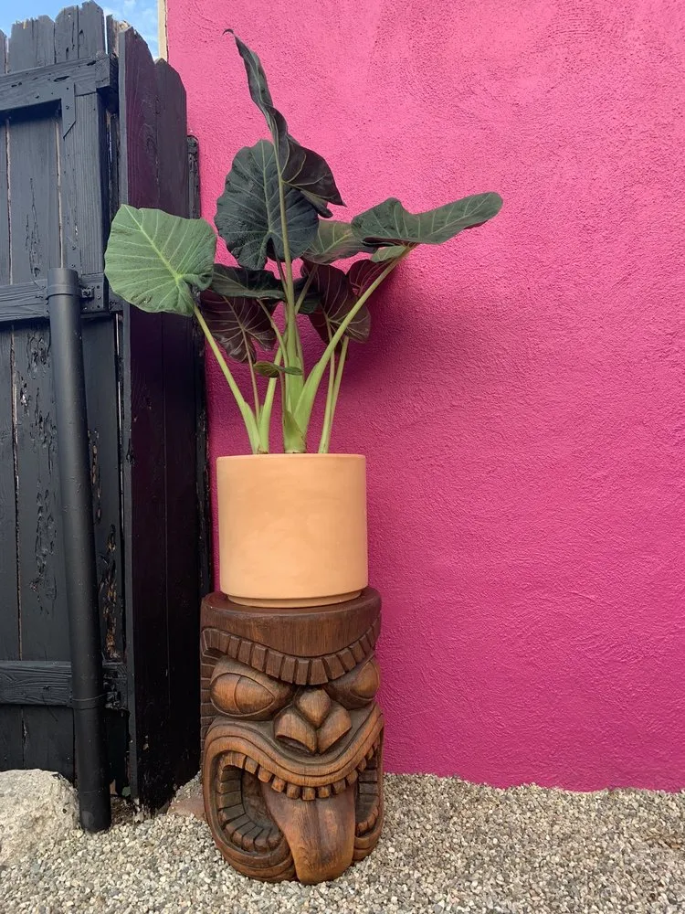 Custom outdoor landscaping for outdoor upgrades across Venice, CA - Venice Plants