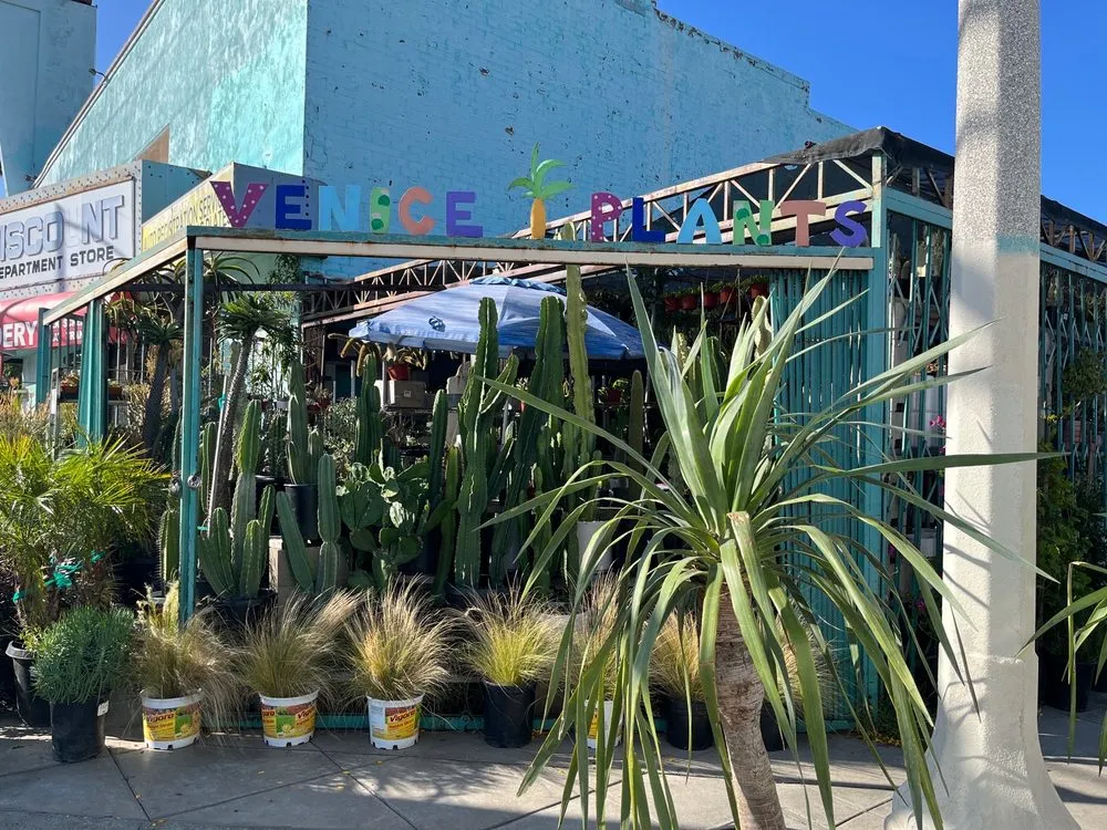 Affordable landscape design for homes in Venice, CA by Venice Plants
