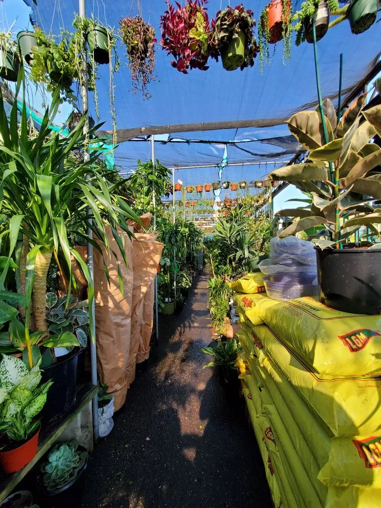 Top-rated outdoor landscaping experts serving Venice, CA - Venice Plants