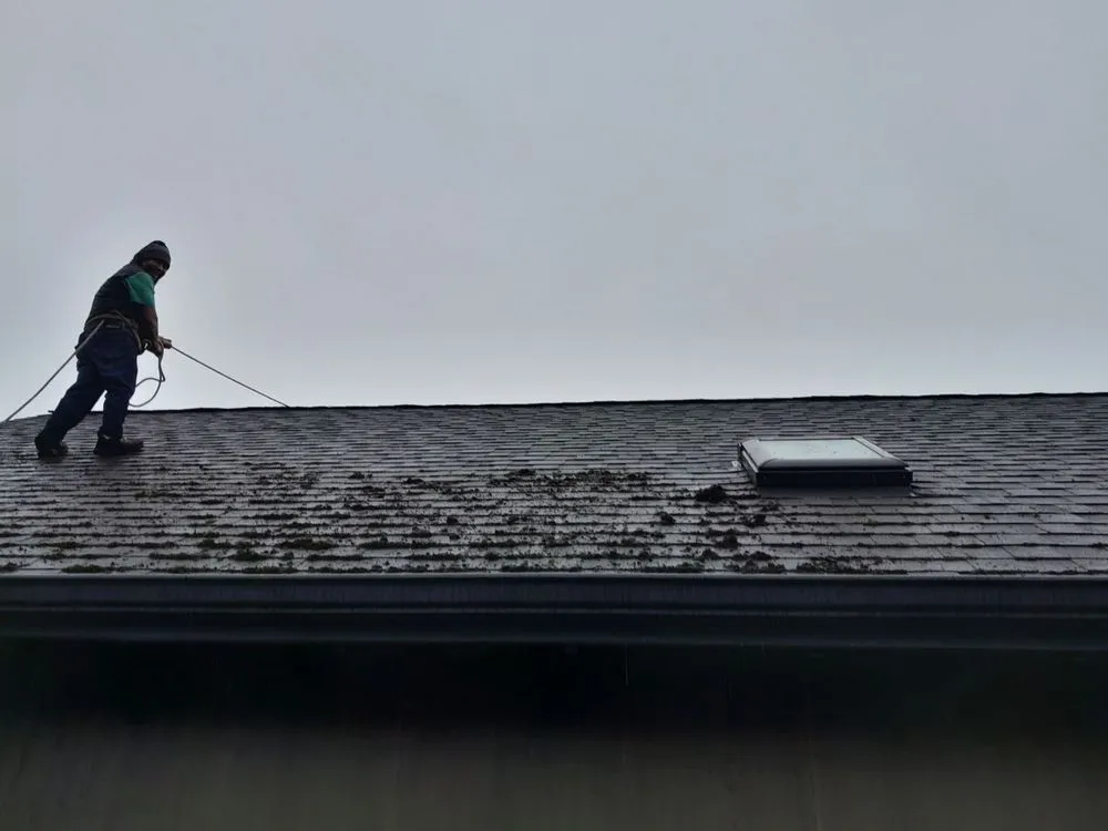 Expert garden landscaping in Eugene, OR by Ventura & Son Landscaping