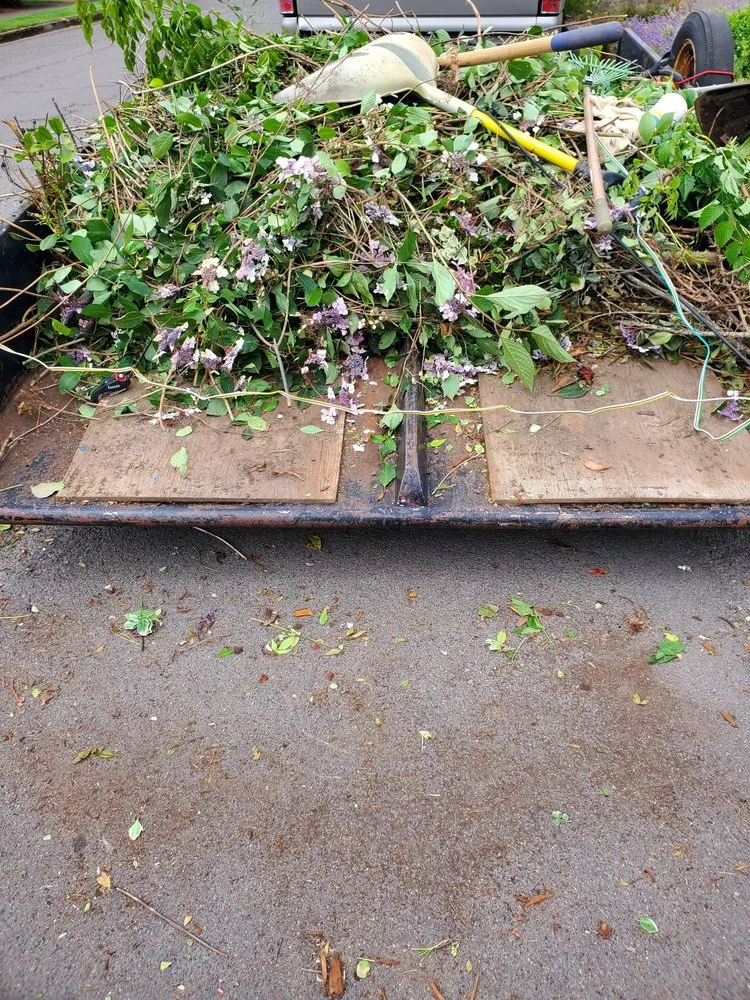 Top-rated residential landscaping for outdoor upgrades in Eugene, OR by Ventura & Son Landscaping