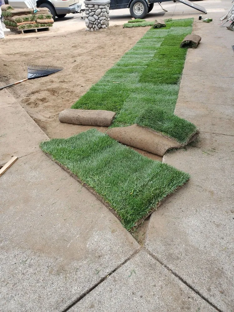 Custom yard cleanup service experts serving Eugene, OR - Ventura & Son Landscaping