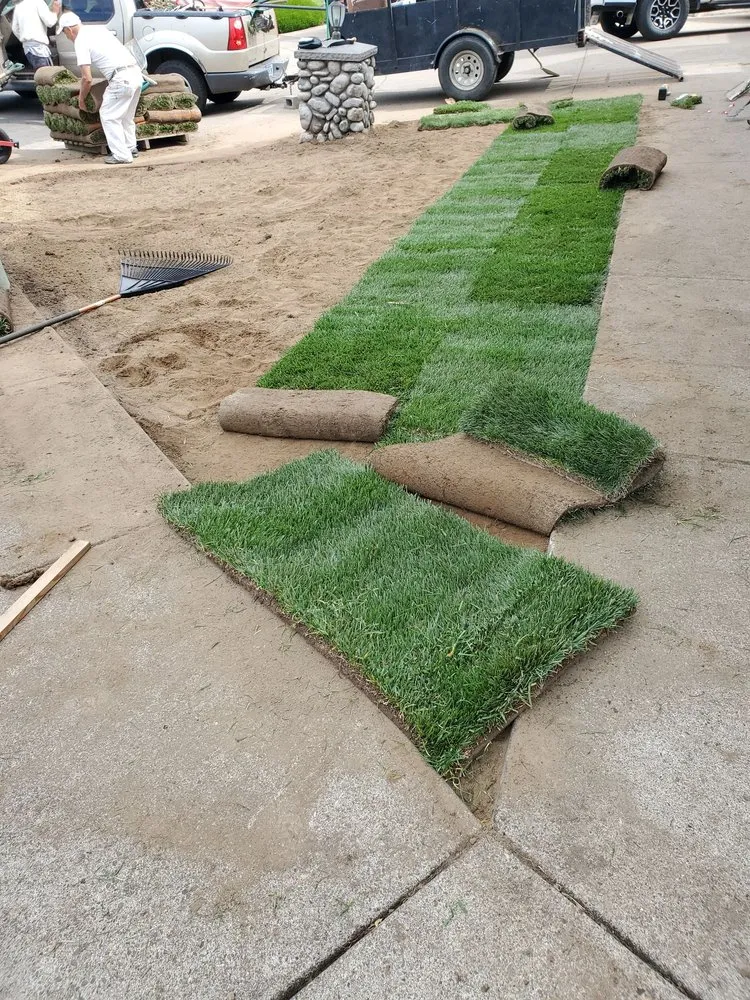 Reliable yard cleanup service in Eugene, OR - Ventura & Son Landscaping