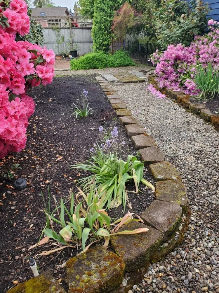 Custom lawn mowing service for homes across Eugene, OR - Ventura & Son Landscaping