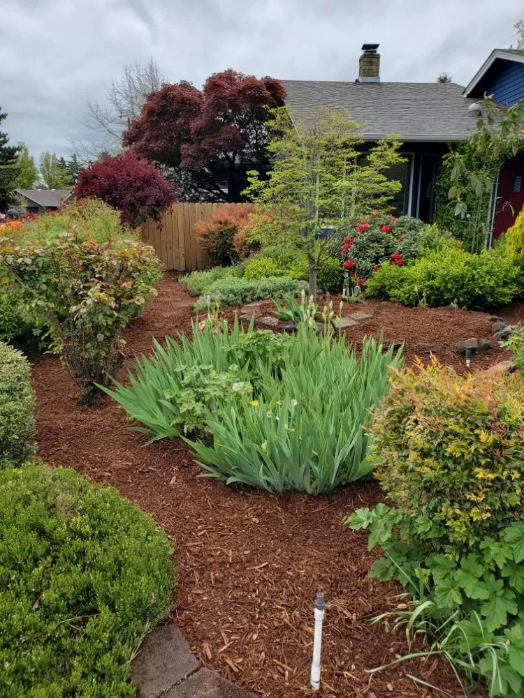 Professional landscaping services for year-round maintenance across Eugene, OR - Ventura & Son Landscaping