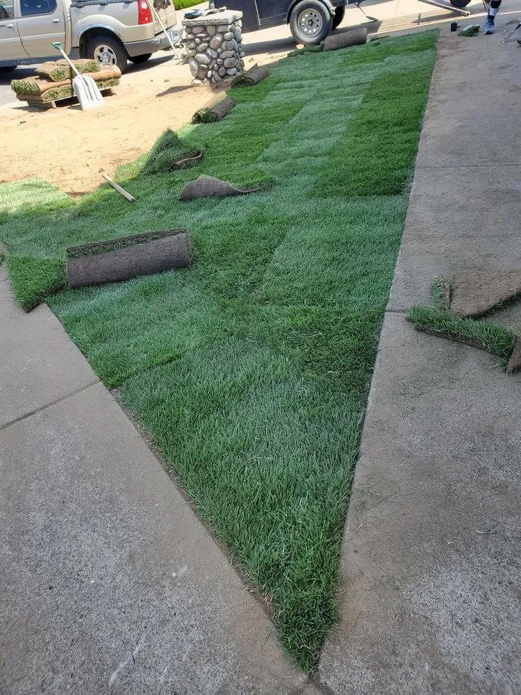 Top-rated yard cleanup service experts serving Eugene, OR - Ventura & Son Landscaping