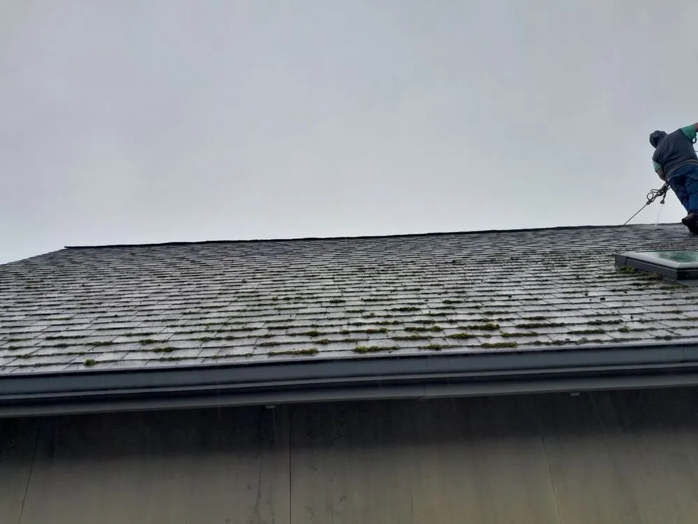 Local yard cleanup service for beautiful yards across Eugene, OR - Ventura & Son Landscaping