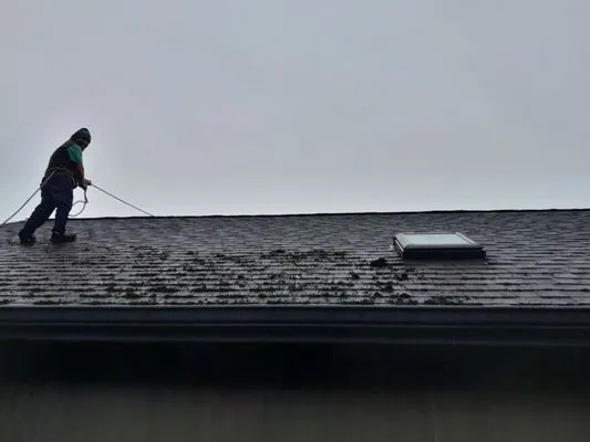 Ventura & Son Landscaping Logo